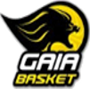 蓋亞籃球俱樂部 logo