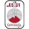 科祖夫 logo