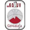 https://cdn.sportnanoapi.com/basketball/team/4b06fe02aaa7da5901e5698485059da0.png