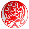 外傣  logo