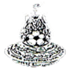 维德拉 logo