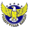森林维尔老鹰女篮 logo