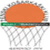 巴諾維契女籃  logo