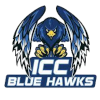 ICC蓝鹰 logo