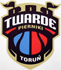 托倫 logo