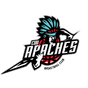 奇瓦阿帕切德  logo