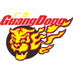 廣東華南虎  logo