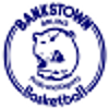 班克斯顿棕熊女篮  logo