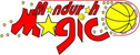 曼杜拉魔术女篮  logo