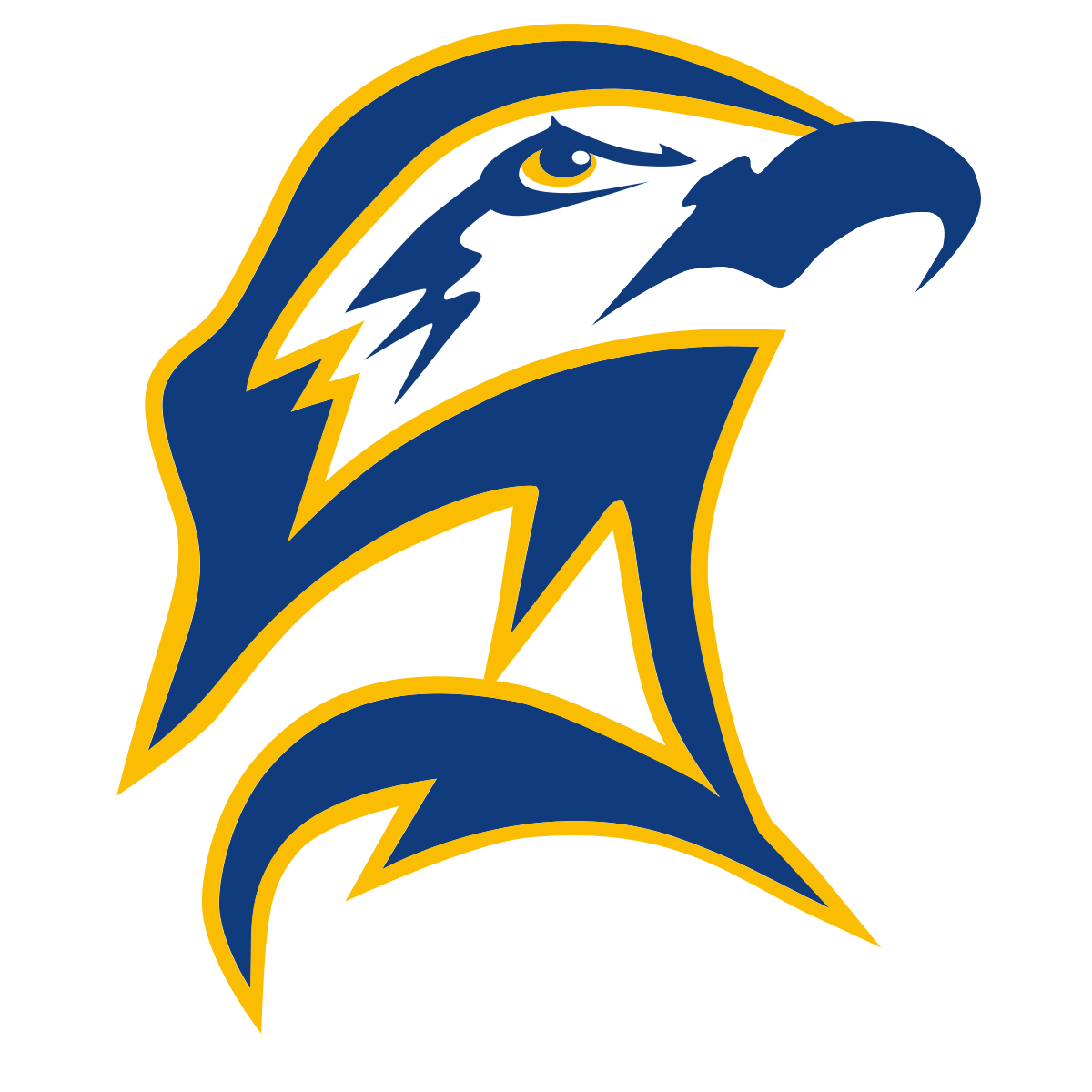 圣玛丽学院直播