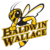 baldwin wallace university