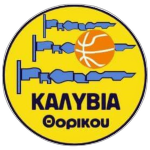 卡利维翁索里库 