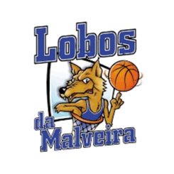 马尔维拉狼女篮