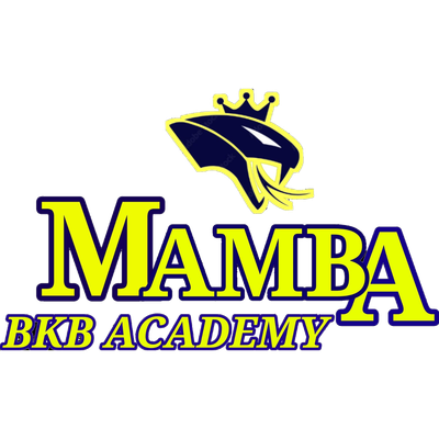 team-logo