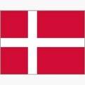 丹麦女篮 logo
