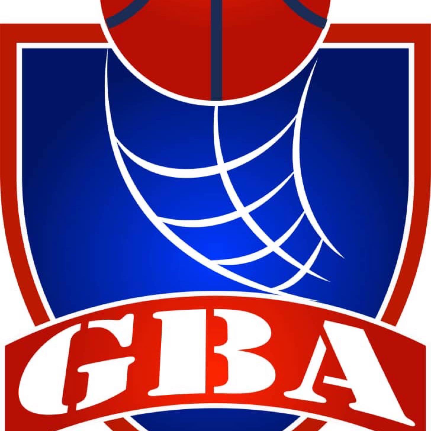 盖迪亚瓦耶篮球学院女篮 logo