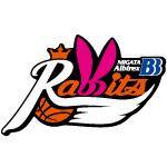 BB Albirex Niigata Rabbits (W)(w)