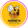 英塔黄蜂 logo