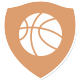 流星女篮  logo
