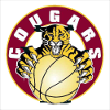 麦金农美洲狮女篮 logo