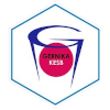 格尔尼卡女篮 logo