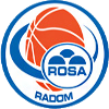 拉多姆  logo