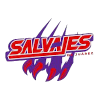 华雷斯萨尔瓦耶斯  logo