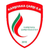 卡尔希雅女篮 logo