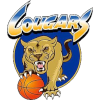 科伯恩美洲獅女籃  logo
