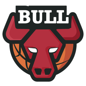 芝加哥公牛  logo