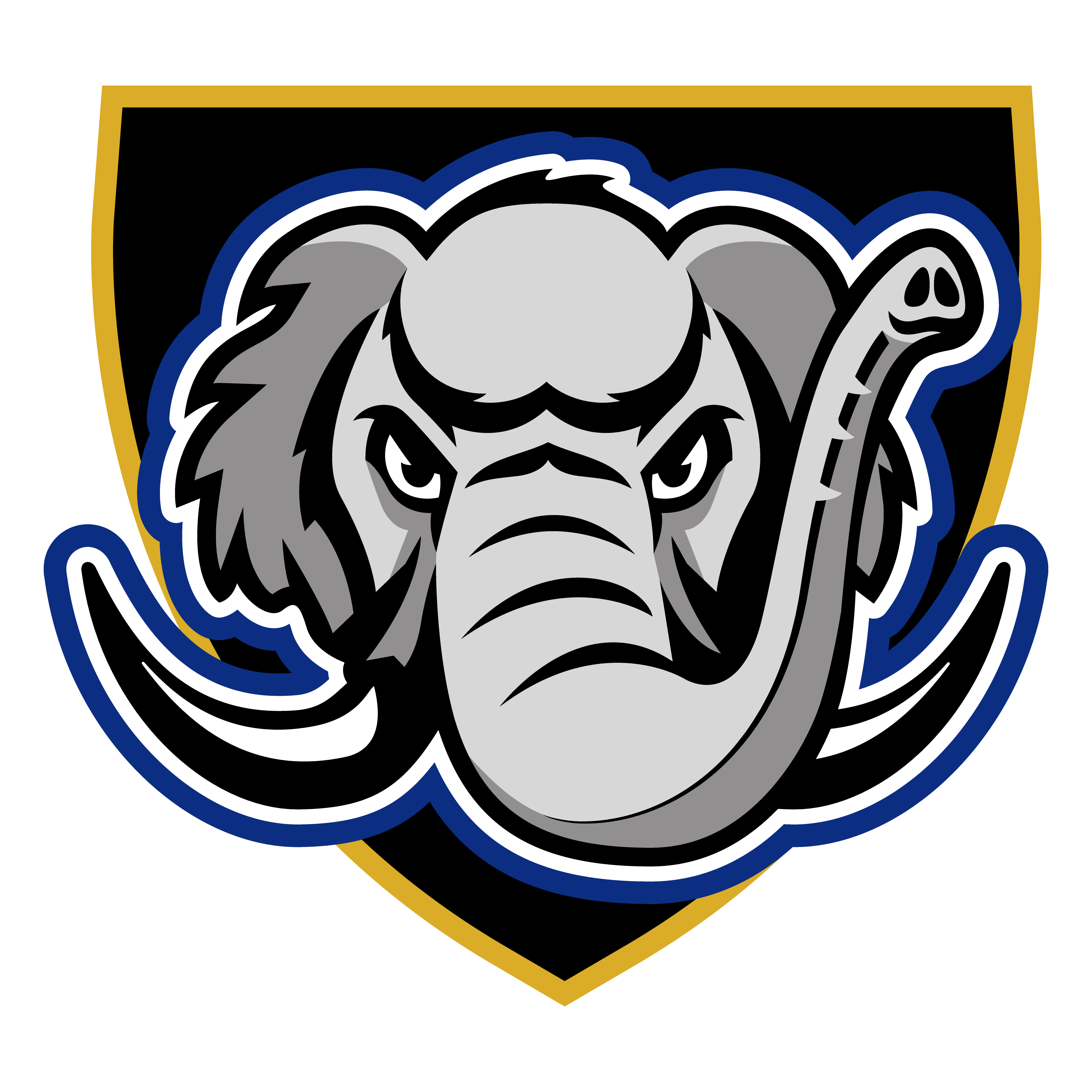 普渡韦恩堡女篮 