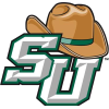 斯泰森大学 logo