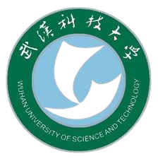 武汉科技大学队