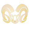 普埃布拉技术 logo