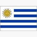 乌拉圭U16 logo