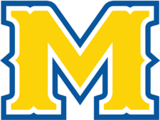 麦克尼斯州立女篮 logo
