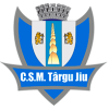 特尔古捷乌 logo