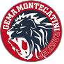 吉馬蒙特卡蒂尼 logo
