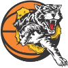 威尔莱顿老虎女子篮球 logo