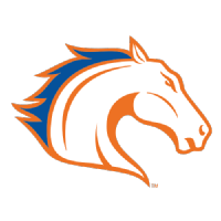 德州阿灵顿女篮 logo