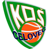 塞洛維茨  logo