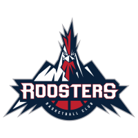 罗斯特斯  logo