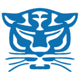 伯明翰黑豹 
