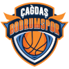 卡格达斯  logo