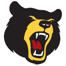 布卢姆菲尔德学院 