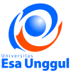 歐洲航天大學女籃 logo