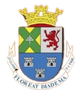 FR王冠  logo