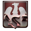 AZS托伦 logo