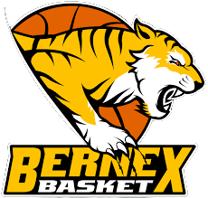 贝内克斯  logo