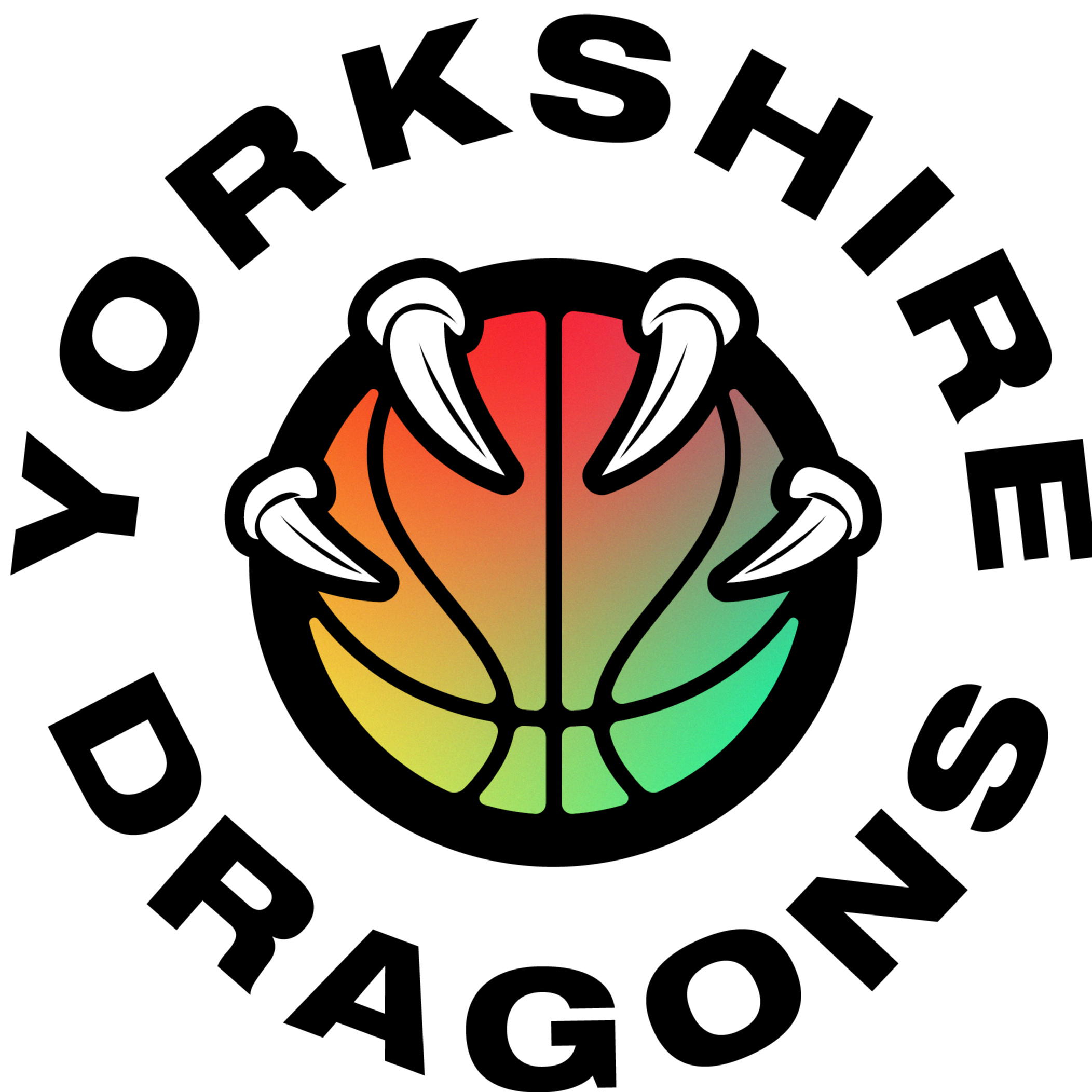 约克郡巨龙 